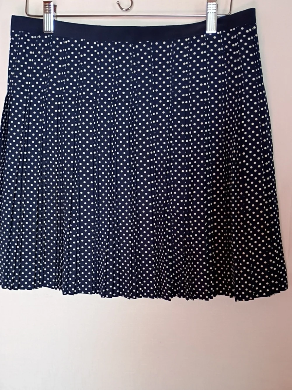 J. Crew Women's Navy and White Polka Dot Pleated Skirt Size 10